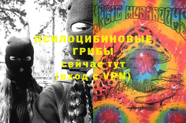 твердый Аркадак
