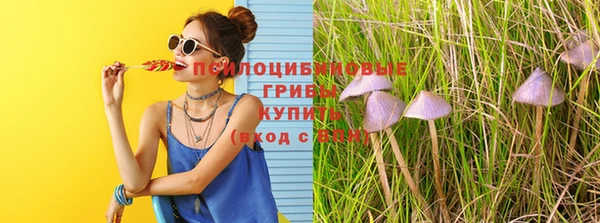 амф Арсеньев