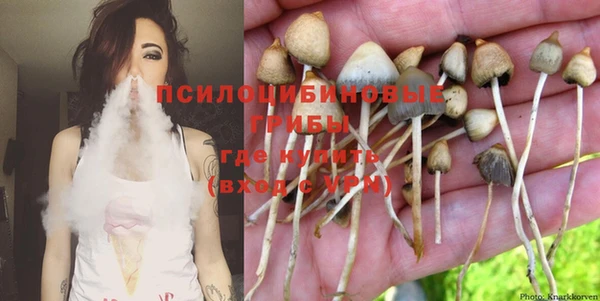 гашик Карталы