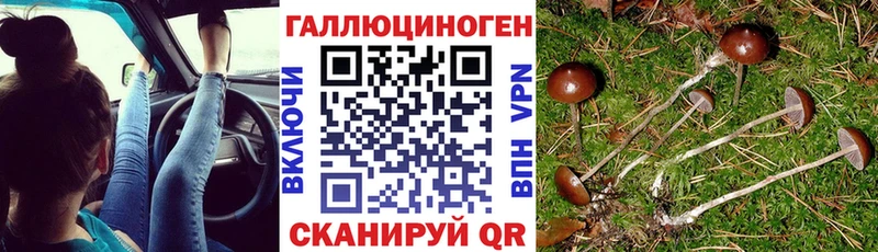 Галлюциногенные грибы ЛСД  даркнет сайт  Аша 